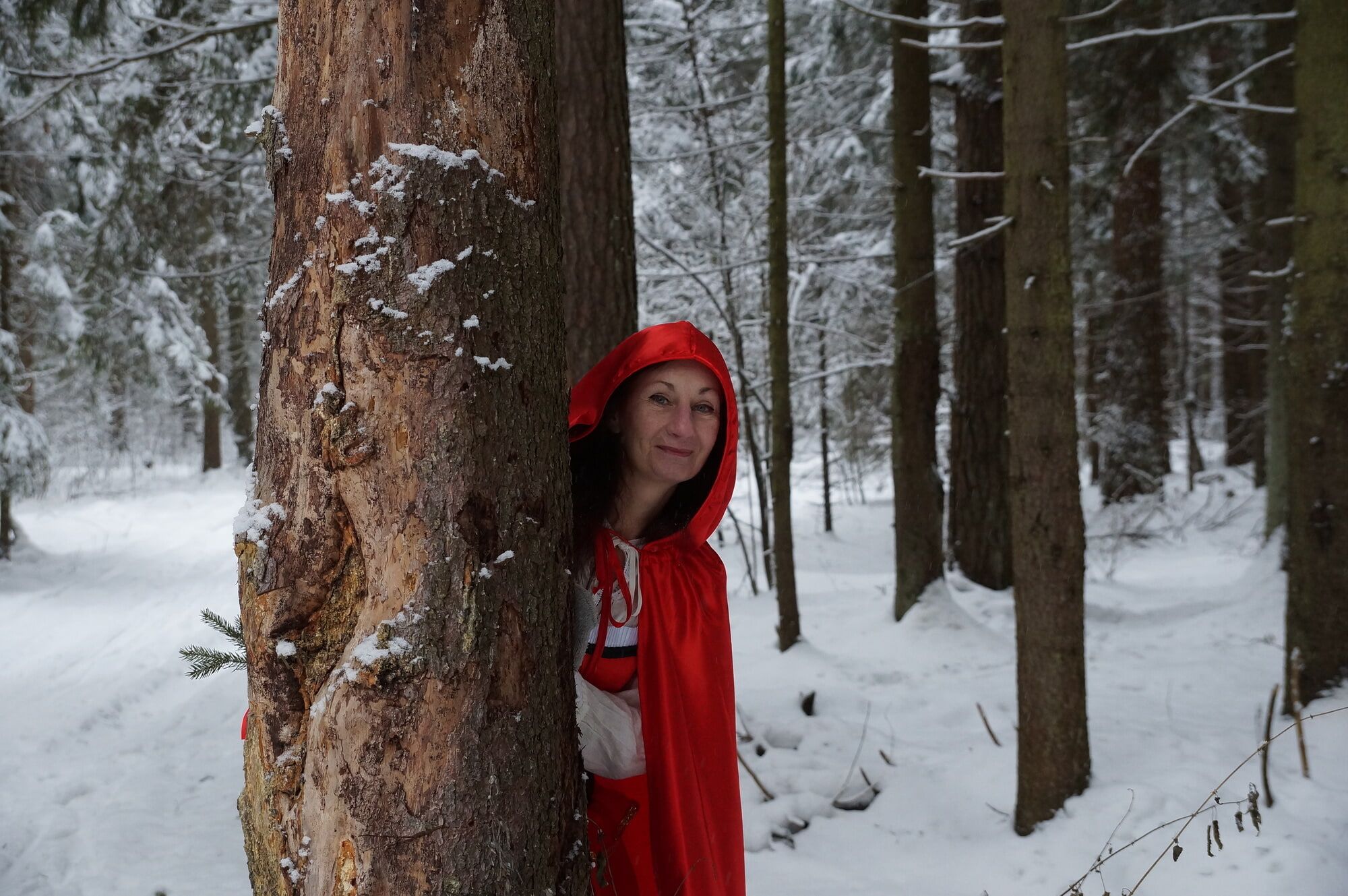 Little Red Riding Hood on a forest path #13