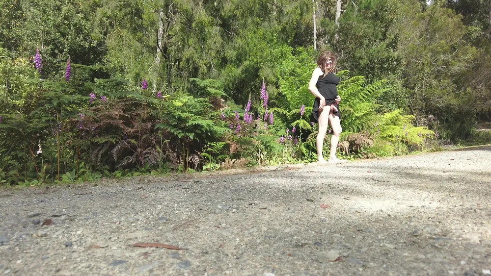 Crossdress Road Trip - Forest Road - Black Dress #9