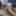 Sissy Ashley Jolene Ass Fucked with a Medium Black Dildo #45