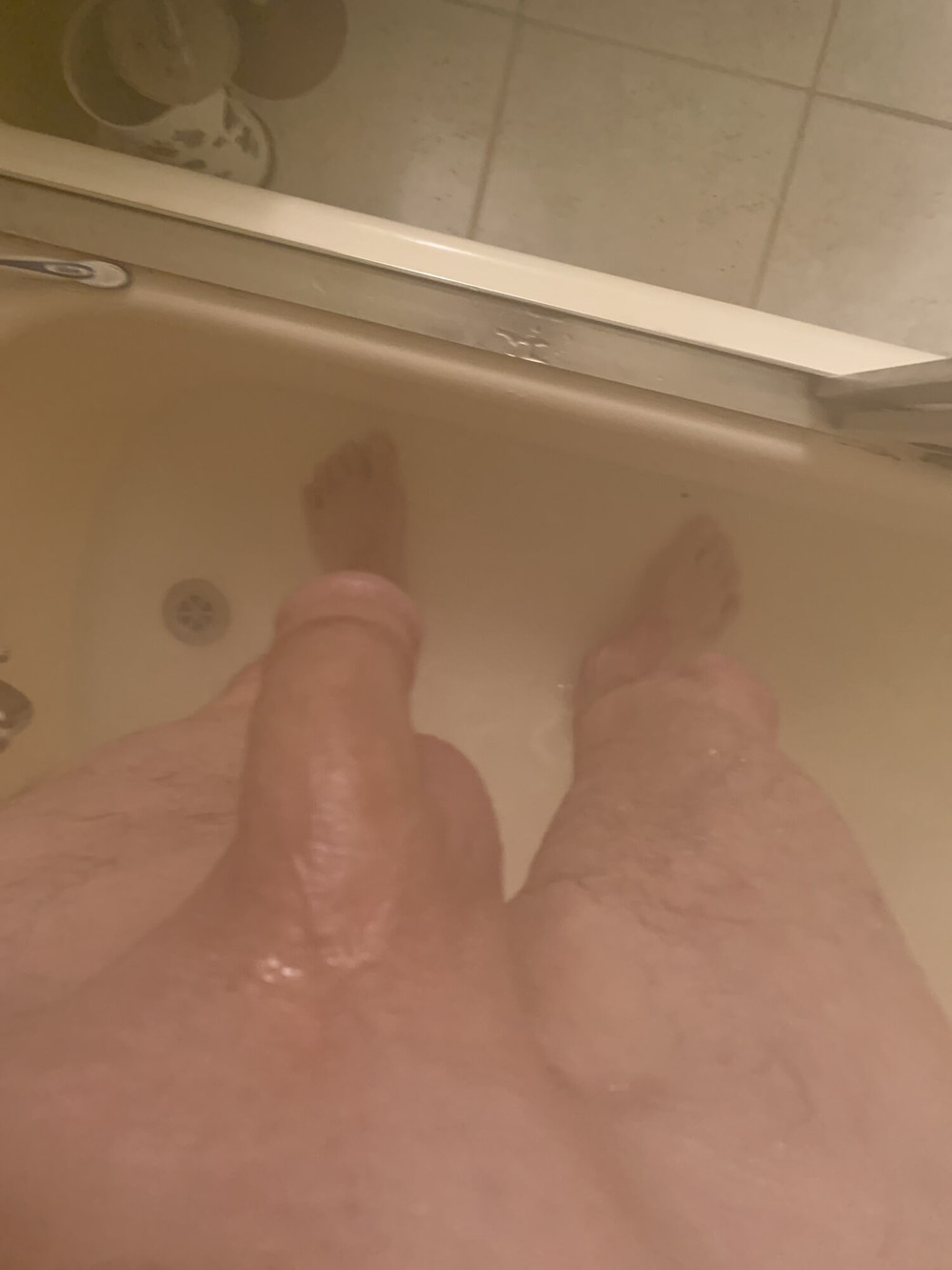 Shaved  #2