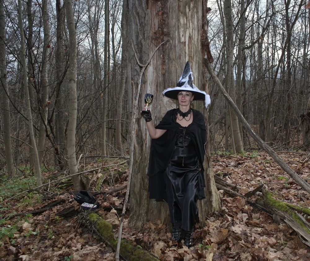 Witch with broom in forest #2