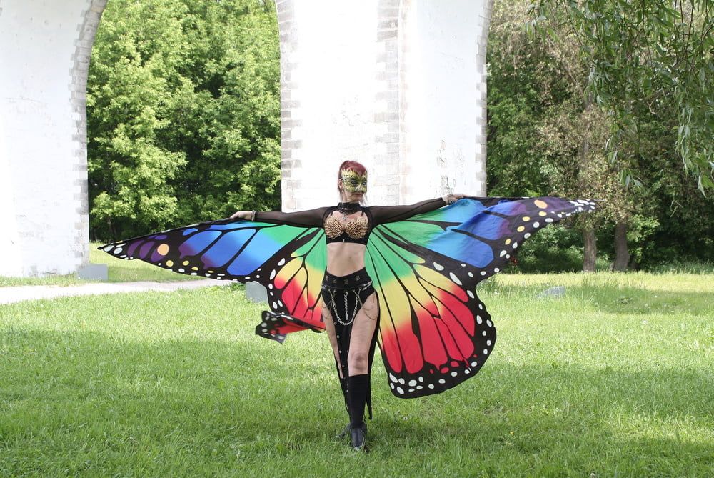 Wings of Butterfly #29