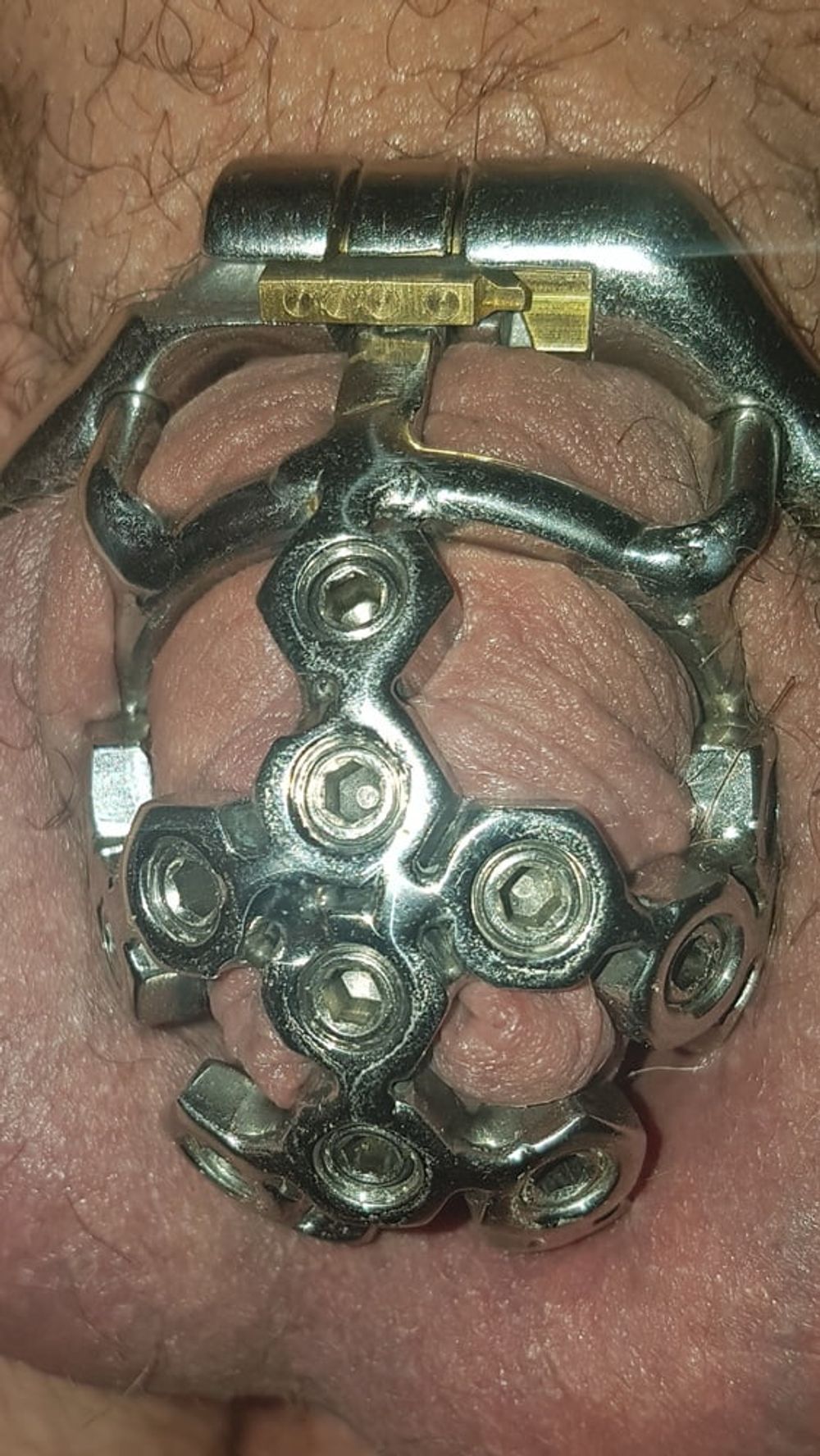 Chastity cage #27