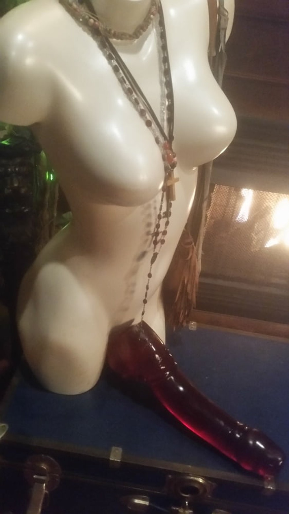 My Favorite Way To Display My Dildos  #9