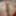 Amateur Mature MILF Doggytyle Fuck GIF