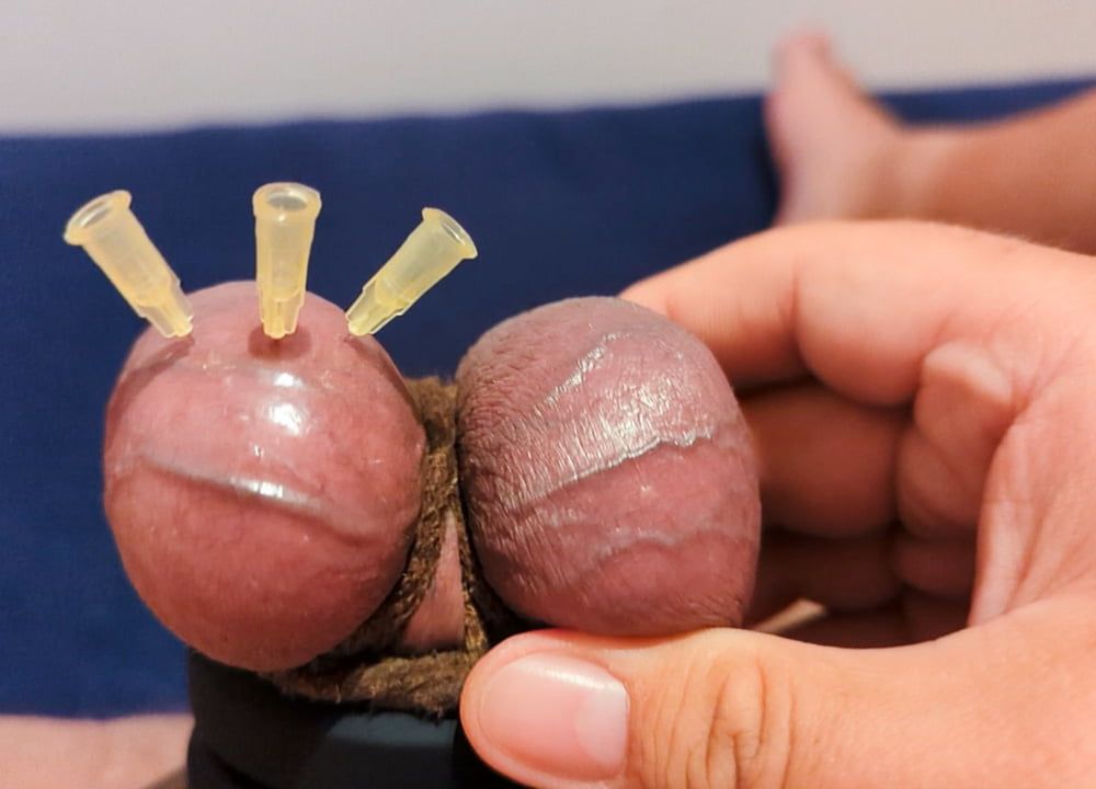 Testicle Skewering 3 Needles in Balls CBT Closeup #14