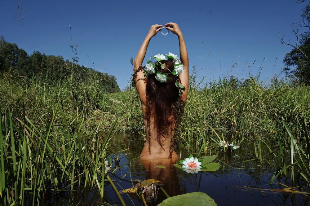  In Pond with Waterflowers 2 #37