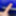 Nice Dick