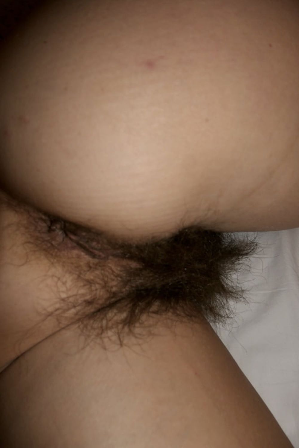 Hairy Sara #1 #3