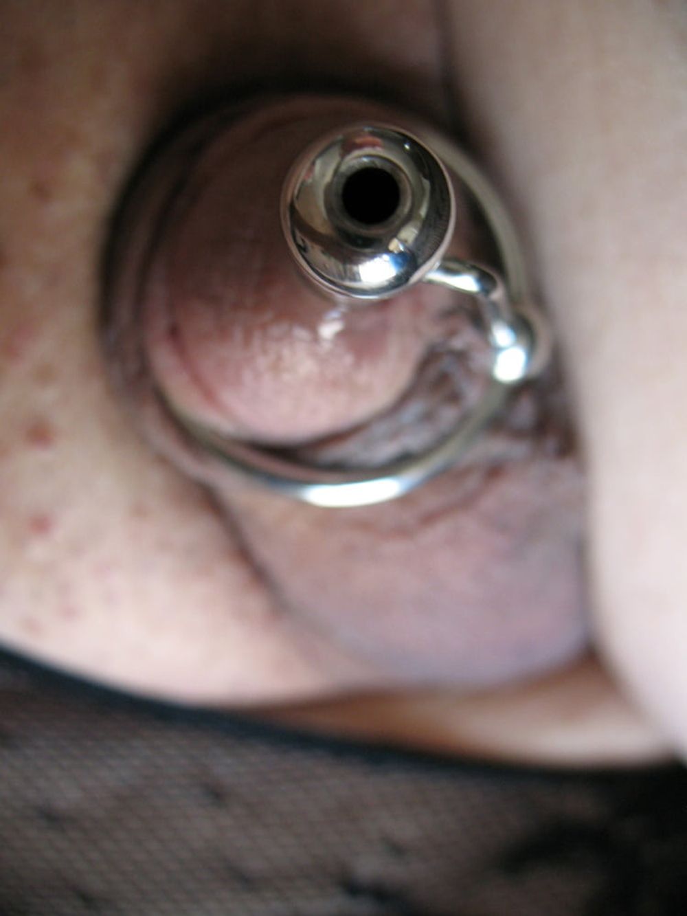 More steel in cock with glans rings #28