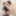 TGIRLS.XXX: Isabelle Disordi is The Hot Stuff #2