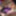 PURPLE SLUT WANKING