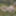 Resting on moss – nature in harmony #18