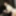  Tame Ryu Enami - CARIBBEANCOM #5