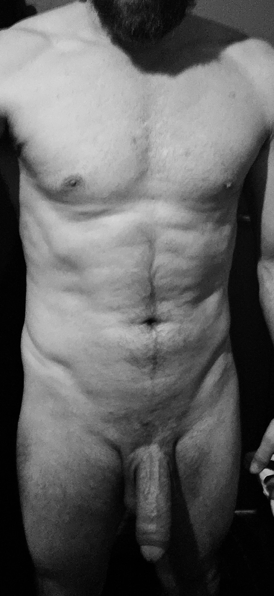 I like the gray
