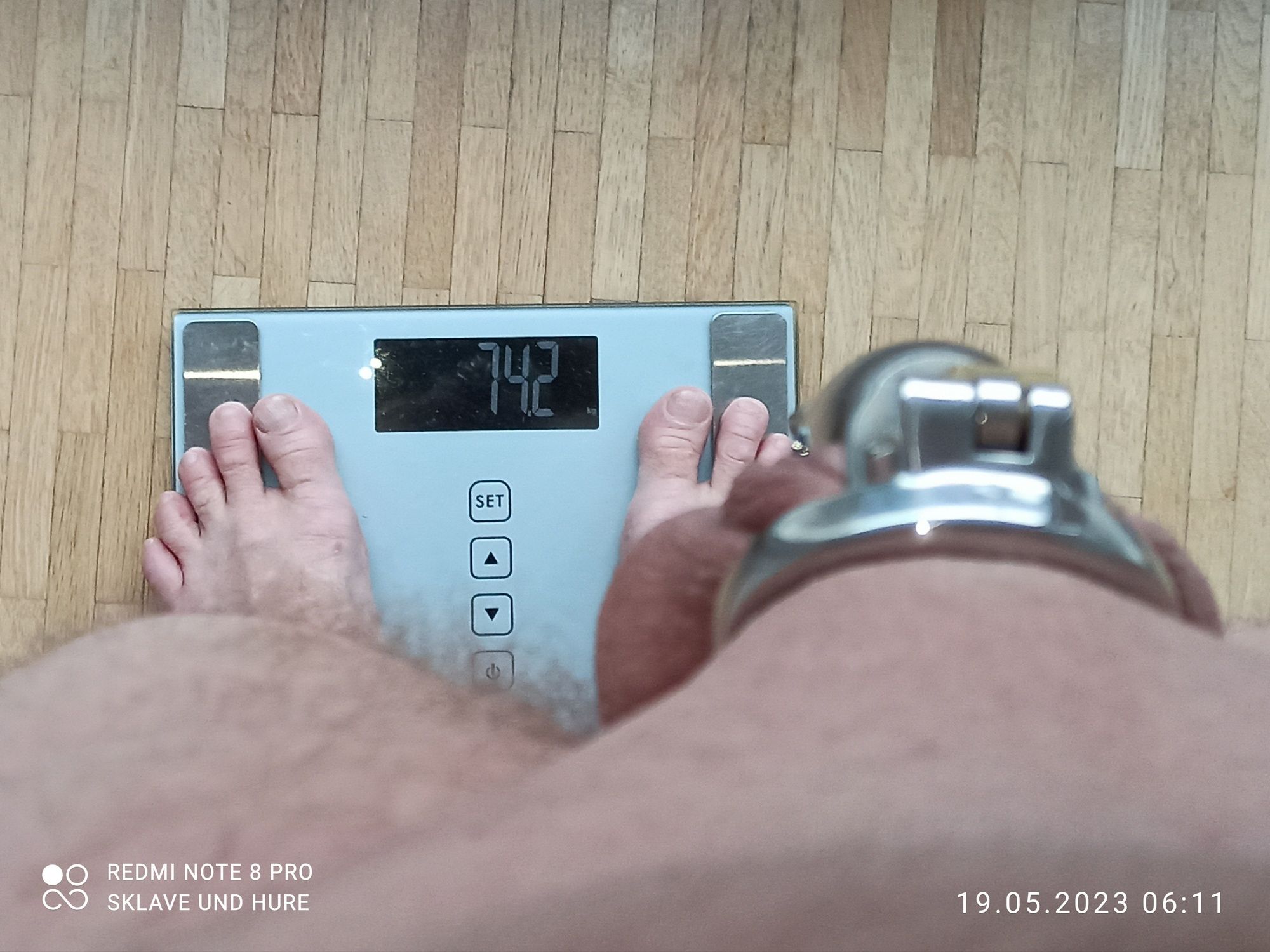 weighing, cagecheck, plugcheck 19.05.2023 #13