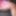 020P Flower Patterned Pantyhose #3