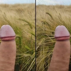 on the fields