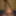 BBW Wife 3