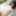 Erotik porno fotoğraflar 337
