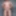 Compilation - My best Nudes without Erection - Part 03 #2