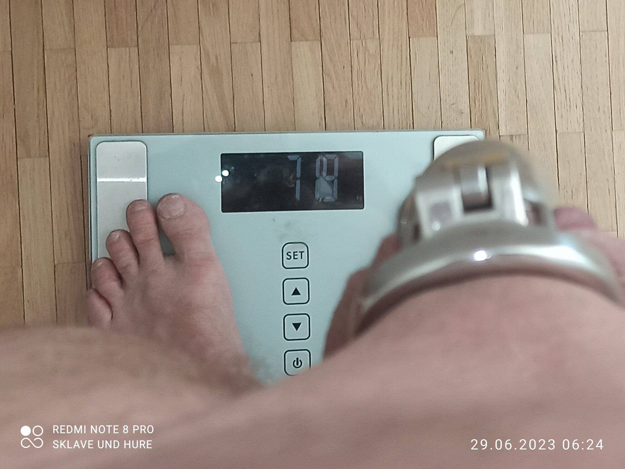 weighing , cagecheck, 29.06.2023 #11