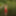 With Horns In Red Dress In Shallow River