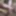 My Personal Photos