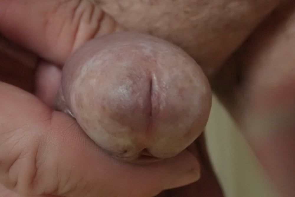 close up penis #3