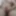 Young Russian boy masturbates close up