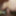  MILF Anal POV #2