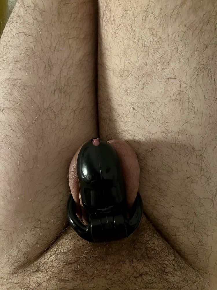 New Chastity Cage #4