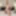 FEMOUT.XXX: Bubblegum Bunny Gets Naughty
