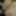 Anal fucked, cumshot in her mouth #36