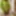 Amateur crossdresser Kellycd2022 holiday in white stockings