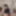 Ücretsiz Syncproject Fotoğrafları