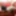 GROOBY ARCHIVES: Updates from 26th May &#039;22 #3