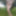 Alice Nomad Free Photos