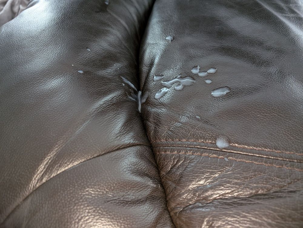 Cum on my leather pillow #11