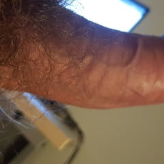Hard and hairy uncut cock