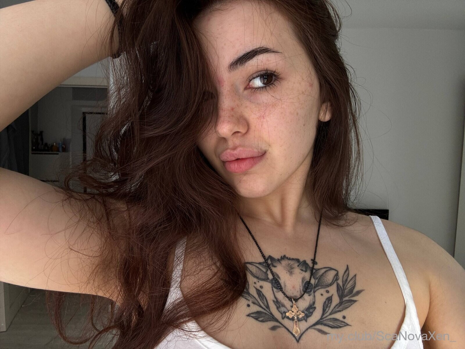 Free Nova Photos #5
