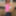 DeluxeDivas.com - Live Chat - Monika #6