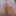 _tasechka_ Free Photos