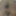 Faggot Brandon Hippel exposed  #18
