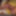 Transvestite shemale Sounding Urethral  Penis Dildo Lingerie #9