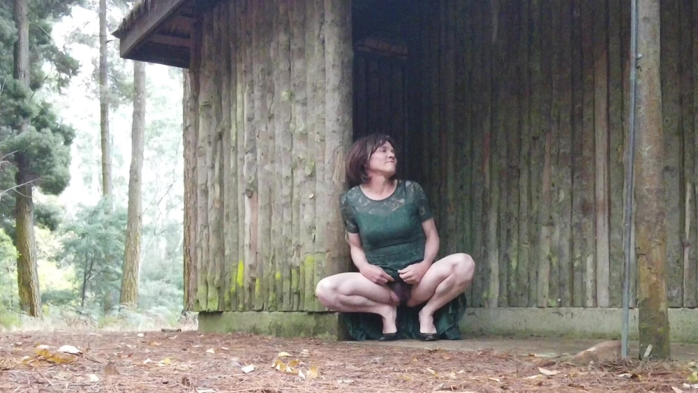 Crossdress Roadtrip - Green Dress #11