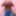 4k Giant Udders Bomb-Shells And Giant Erect Ebony Nipples  #24