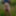 Outdoor nudity 