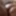 Sneakpeak 2
