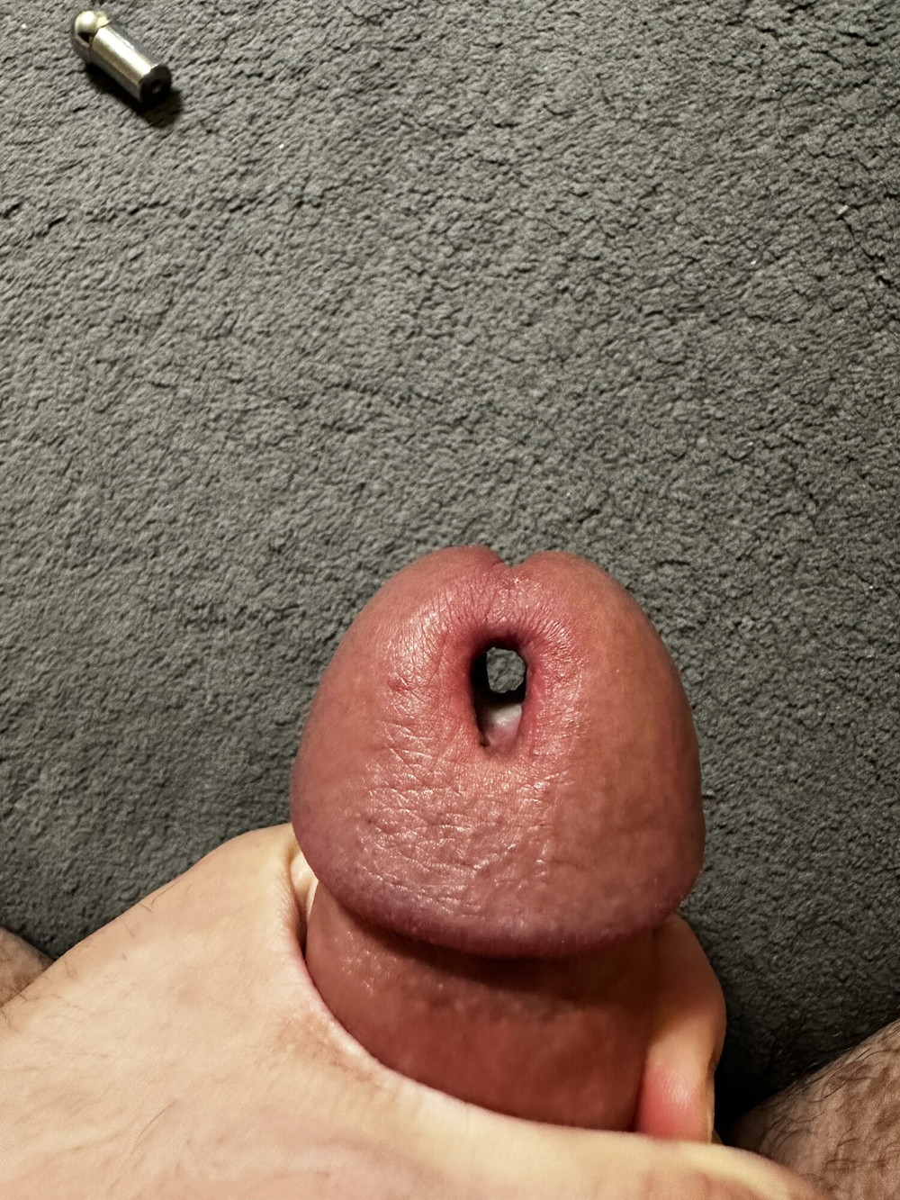 Penis glans piercing hole  #3